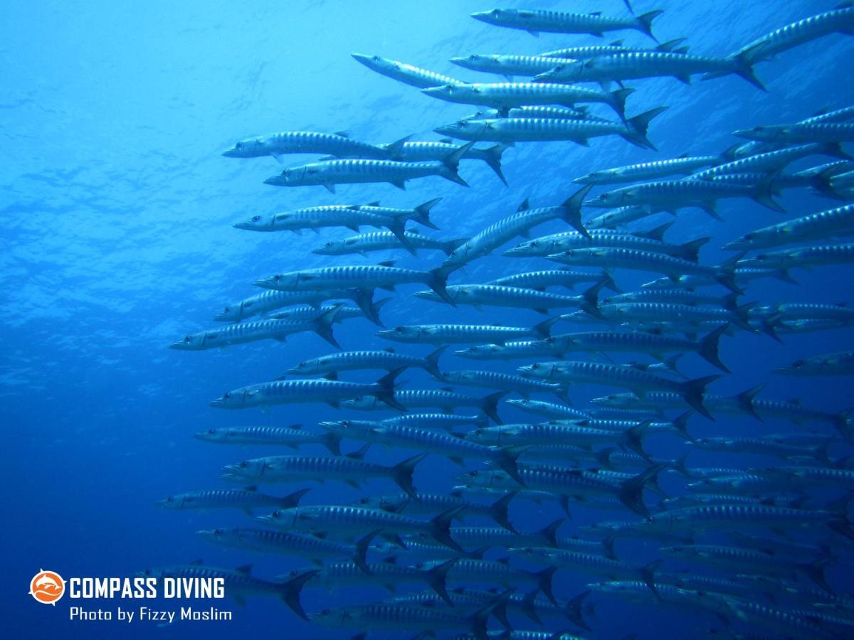 Compass Diving Resort Beloi Exterior foto
