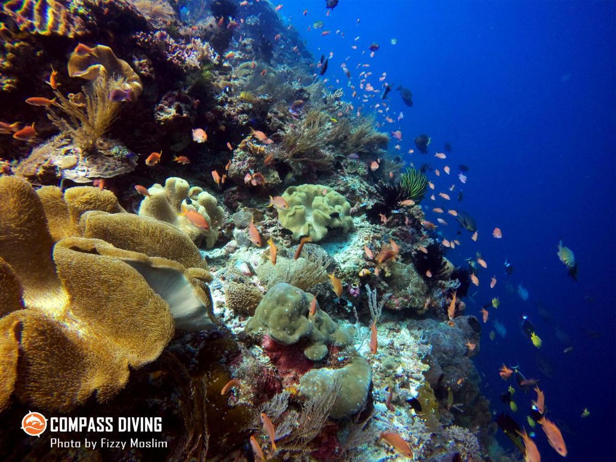 Compass Diving Resort Beloi Exterior foto